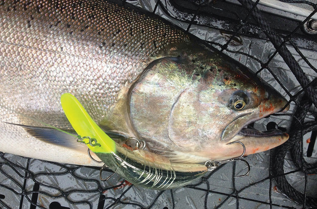 Big Plugs are the Secret for Slow Water - by J.D. Richey – Salmon