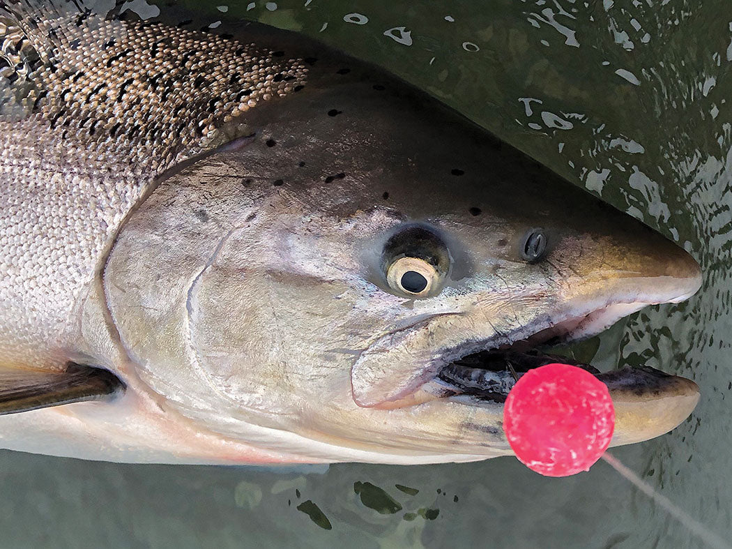 How to Fish Trout Beads