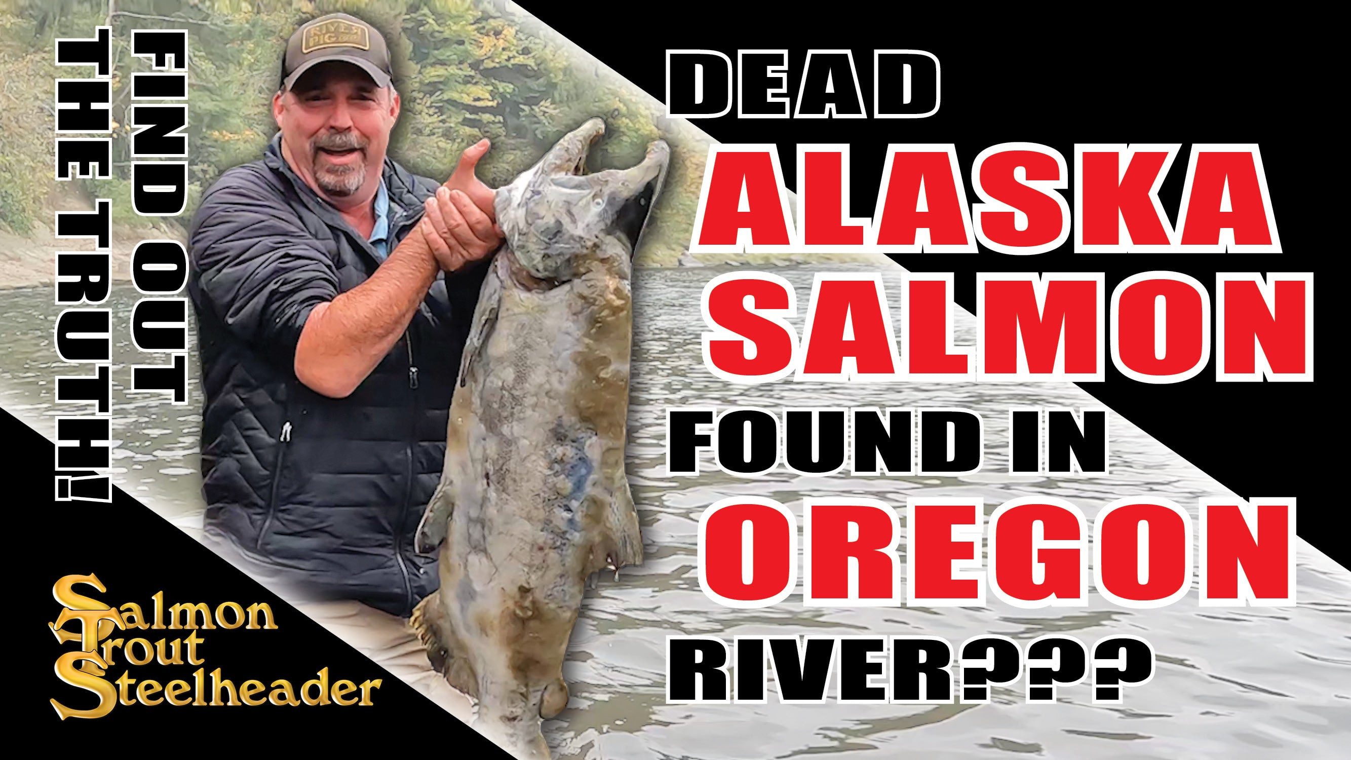 Dead ALASKA SALMON found in OREGON River??? Salmon Trout Steelheader