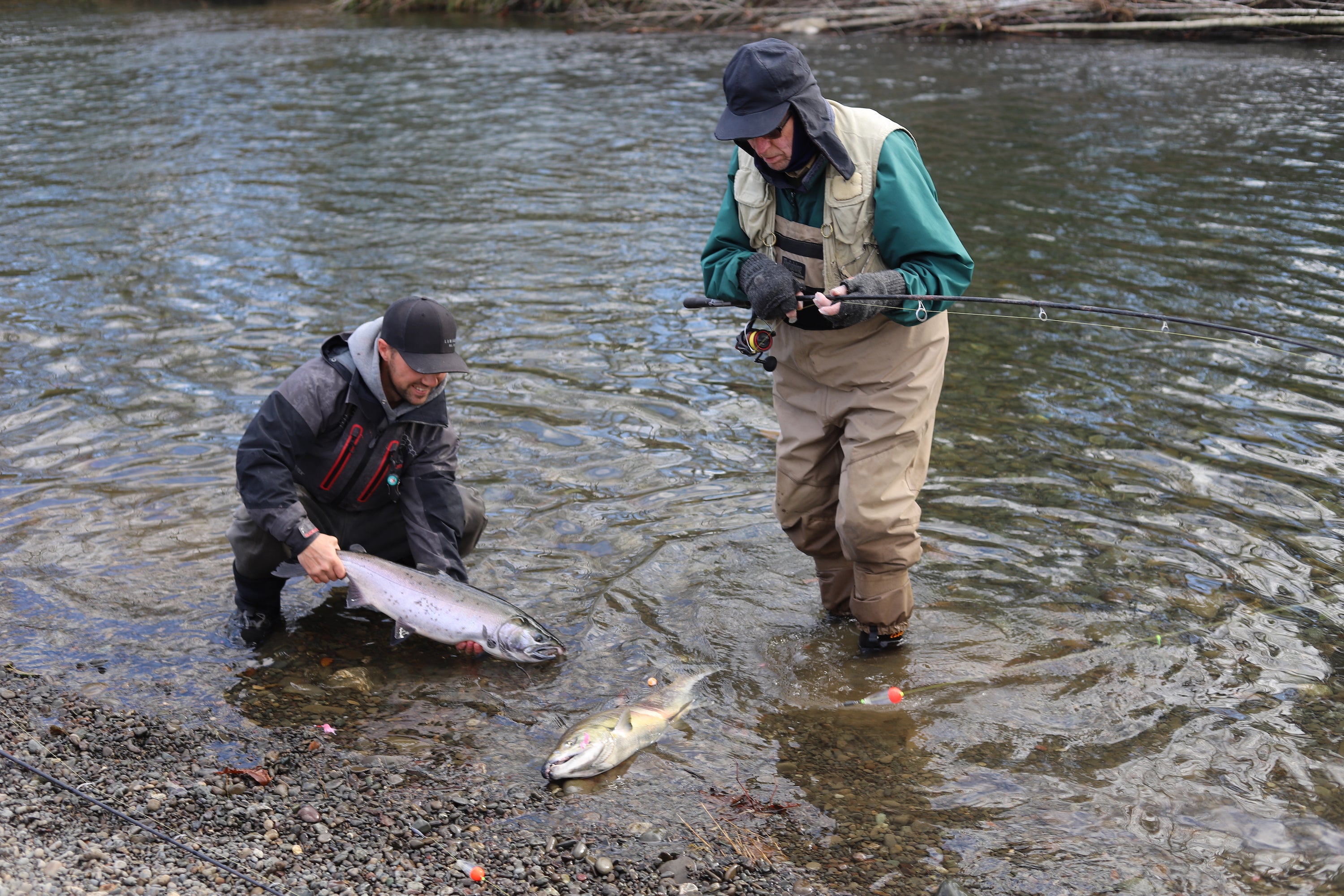 Float Fishing for Chum & Coho (Video) Salmon Trout Steelheader