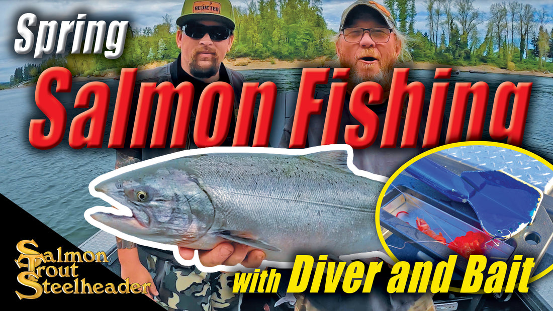Spring Salmon Fishing with Diver & Bait