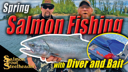 Spring Salmon Fishing with Diver & Bait