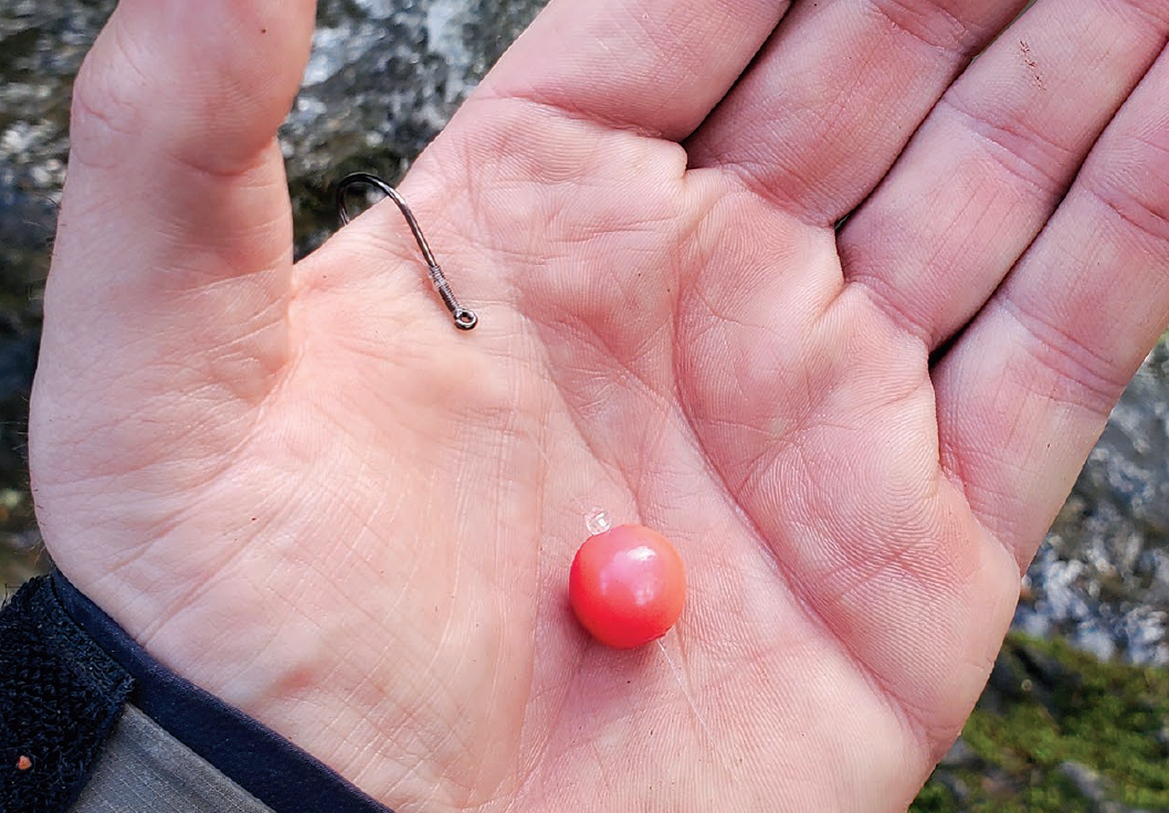 How to catch trout and salmon on beads