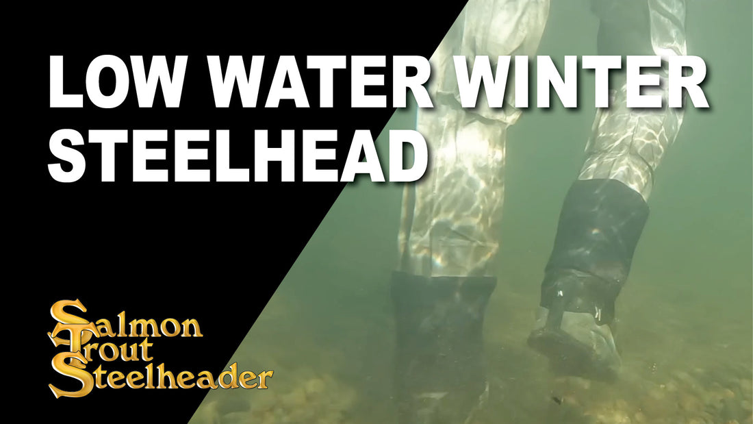 Low Water Winter Steelhead