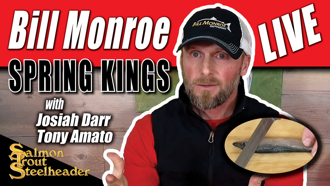 Bill Monroe LIVE - SPRING KINGS