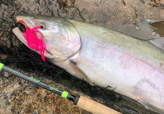 Lessons Learned (While Coho Fishing) by Scott Haugen