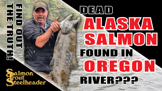 Dead ALASKA SALMON found in OREGON River???