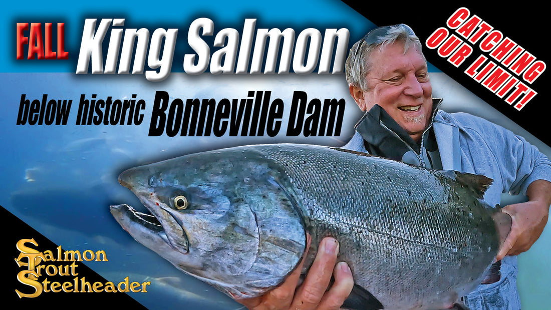 Fall King Salmon below historic Bonneville Dam