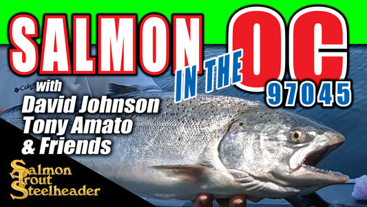 Salmon in the OC 97045
