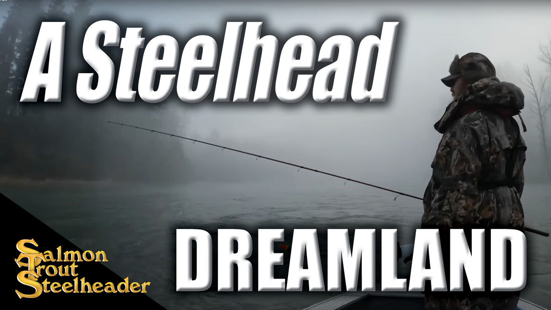 A Steelhead Dreamland