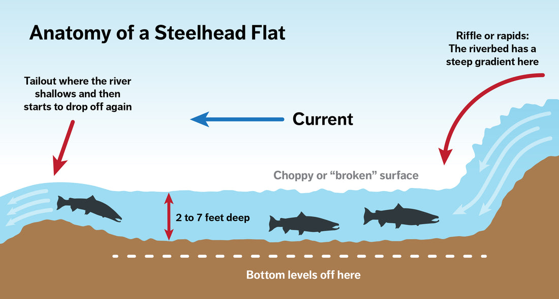 Identifying Classic Steelhead Water: Flats | by Jd Richey