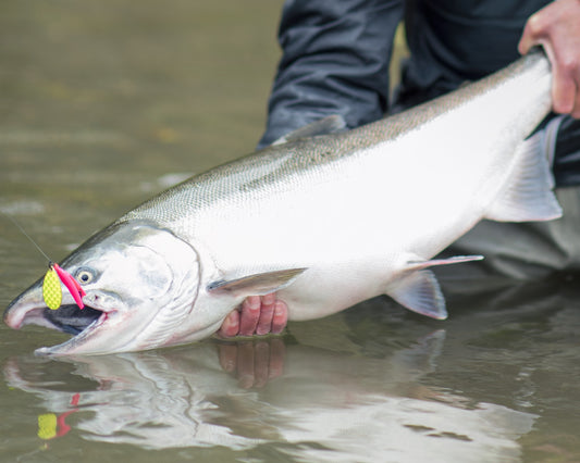 Wicked Lures - Fishing Weightless Spinners for Salmon & Steelhead