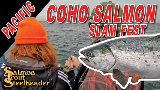 Pacific Coho Salmon Slam Fest