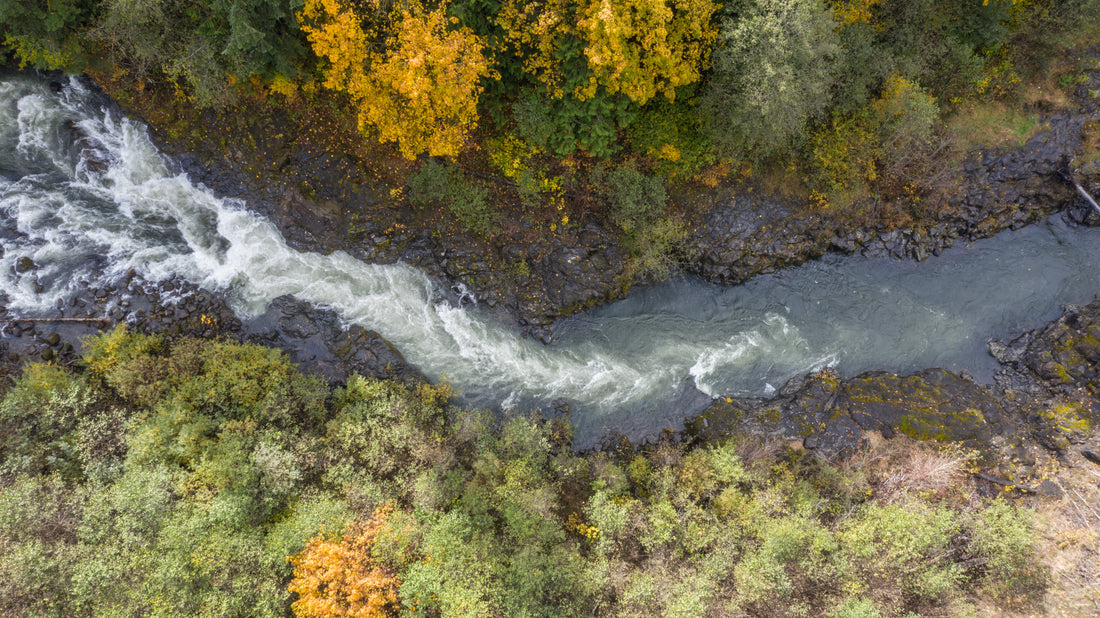 Do YOU Want A Dam on the Chehalis River?