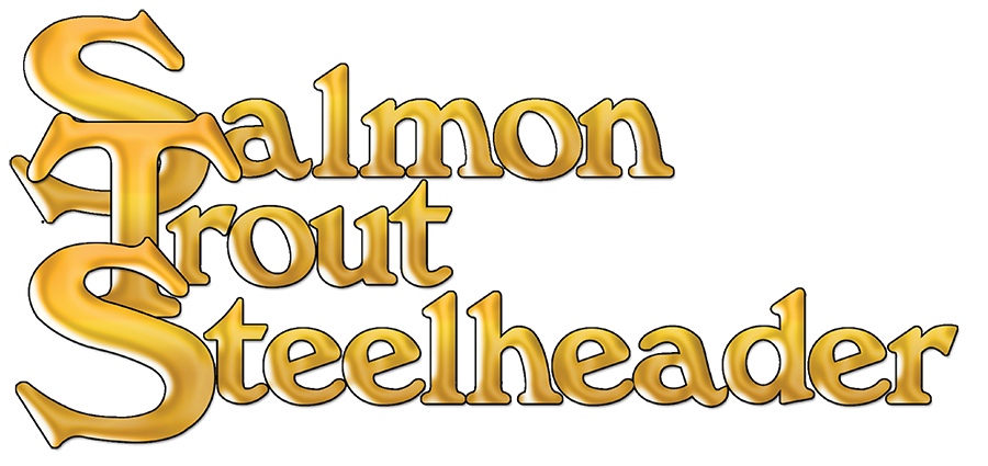 Steelhead on the Beach by Calvin McShane – Salmon Trout Steelheader